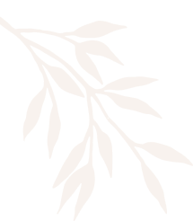 Lovely Nails Salon | Hamilton