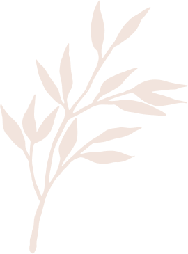 Lovely Nails Salon | Hamilton