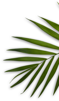 Lovely Nails Salon | Hamilton